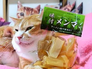 味付メンマ