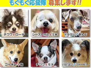 2026年下半期サポートファミリー募集の…