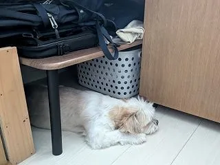 寝床