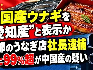 中国産ウナギを“愛知産”と表示か 京都の…