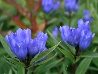 今日は私が初めて母になった日記念日