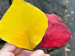 同じことを何度も言わせないで下さい