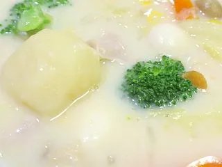 クリームシチュー