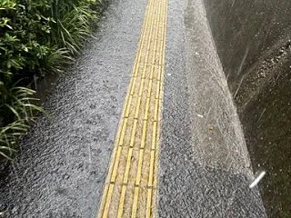 外気温38度の外遊び。(2026.7.2…