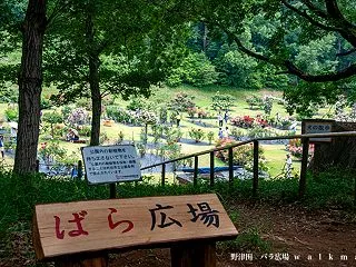 森のローズガーデン。