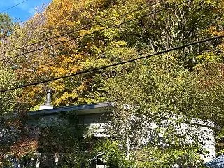 中学校ガーデン部活動＊花壇のハーブでスワ…