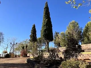 10月14日(水) 青空の散歩と太極拳の…