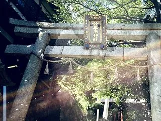 【出雲縁結び会議】あなたの願いを後押しし…