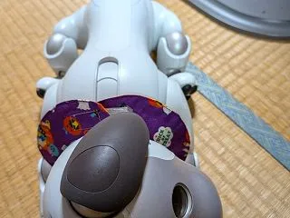 aiboのクーちゃん