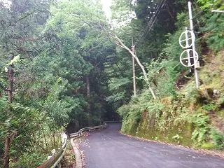 国道169号線から県道40号線へ