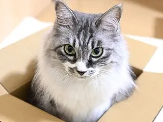 叩くなんて