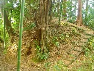 城の土塁に利用 古墳時代後期以降の円墳 …