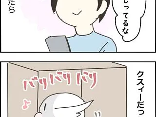 クスィーの現行犯