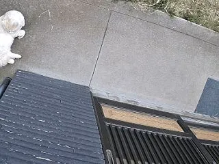 盛り上がりは気分による