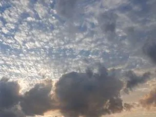 近所の野池 ・・・１０月２１日夕方