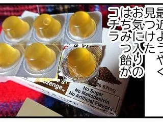【はちみつ】”ほぼ蜂蜜”のど飴、５種食べ…