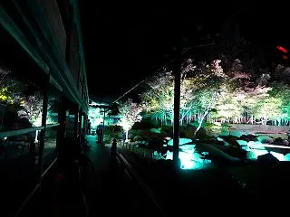 【山口】常栄寺 雪舟庭 秋のライトアップ…