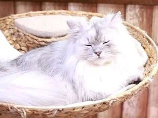 近況
