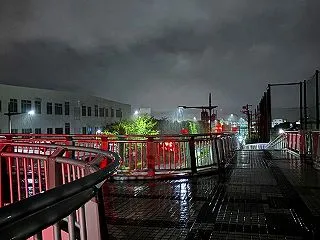 この雨ってザーザーですかね？