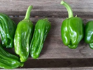 野菜炒め、知らなかったのは私だけか