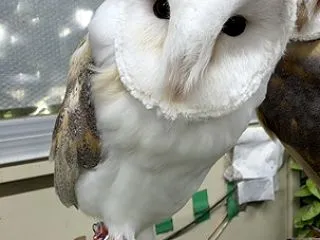 風が強い日🌀🍃