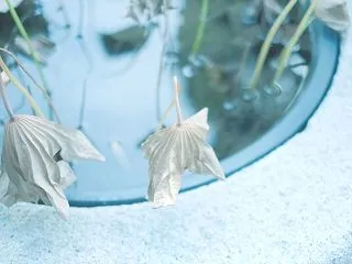 花拾い句会は、俳句を作ったことがなくても…