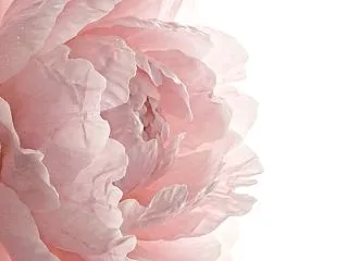 復縁・元彼のしあわせを願えますか？それと…