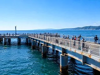 淡路島の釣り堀・海釣り公園｜じゃのひれと…