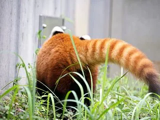 10月21日