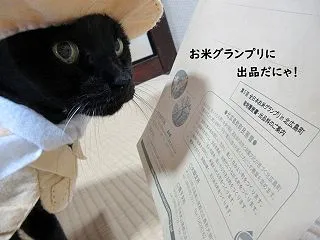 ２６年もお米グランプリに出品だにゃ！