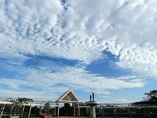 真夏日となった