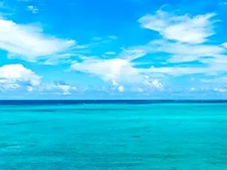 動画が神すぎて（〃・・〃）ずっと聞きたか…