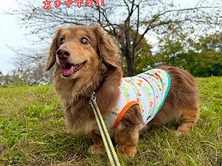 秋みじかし・・・🍂