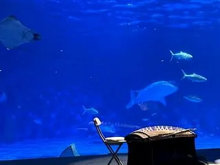 いおワールド鹿児島水族館３８