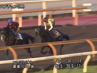 【菊花賞2026】追い切り・コメント/動…