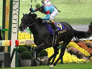 【菊花賞 2025】データ展望・出走予定…