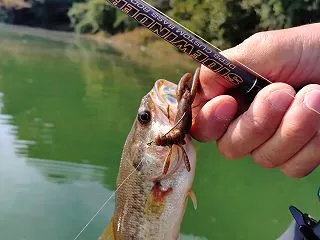 エスケープチビツイン