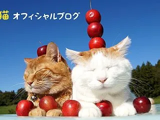 しょぼお顔 261021