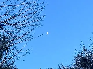 【募集開始】満月に、願いが動き出す『フル…