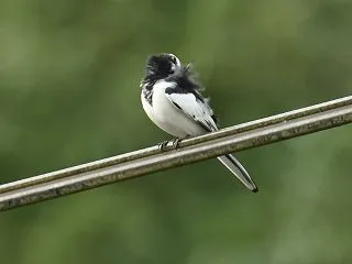 昨日の月、今日の月