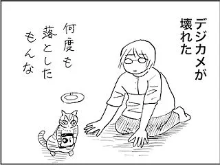 カメラのせいではない