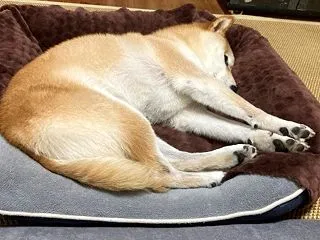 冬仕様