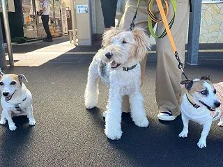 お伊勢番外編⑥ 〜 ラヴィギー姉弟 〜
