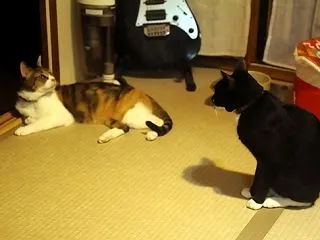角度を変えて。。