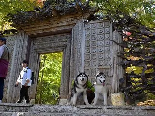 辰之介の日々 2019年11月（家に来て…
