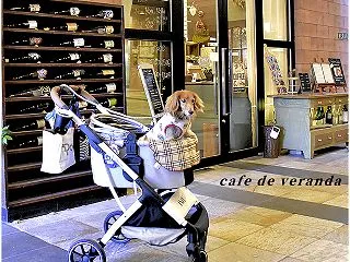 cafe de VERANDA (ﾍﾟｯ…