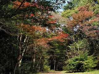 紅葉を求めて 1