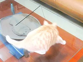 時々そら時々いなか （nya.3565）