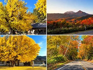 真庭市蒜山の紅葉が美しいスポット4選