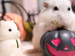 ずるいです